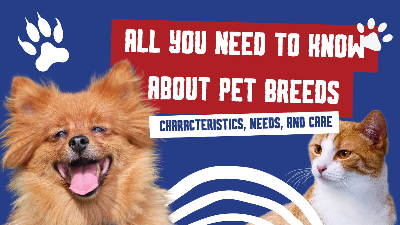 All You Need to Know About Pet Breeds: Characteristics, Needs, and Care