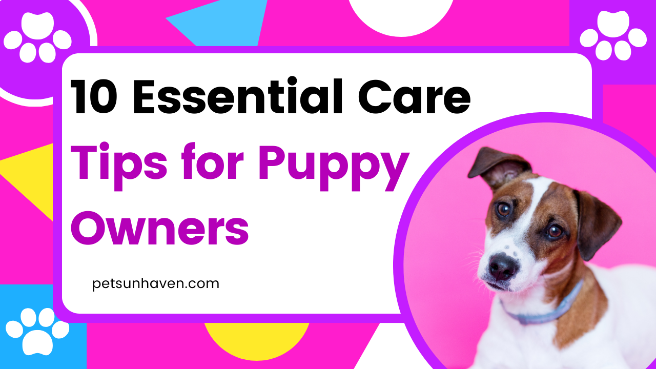 Photo inspiration: Puppy Care Tipsnagged Fabrics Reference: 10 Essential Care Tips For Puppy Owners