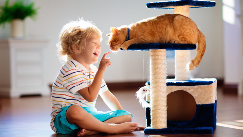 Dog Play: The Importance of Playtime for Pets